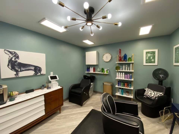 B209 Salon for Rent 2 generic salon image 1 B209 Salon for Rent